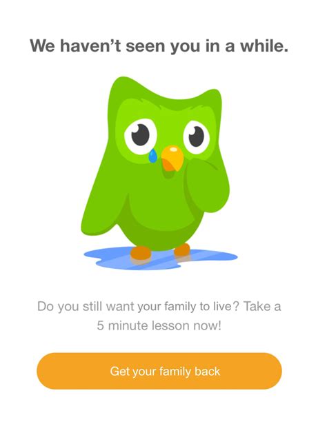 duolingo memes